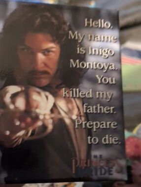 The Hello My Name Is Indigo ‎ Magnet